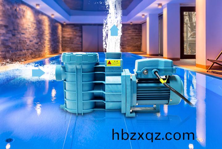 泳池循環水泵 泳池循環(huan)水泵