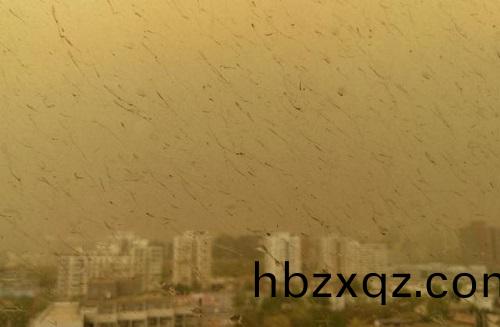 北京沙(sha)塵(chen)暴