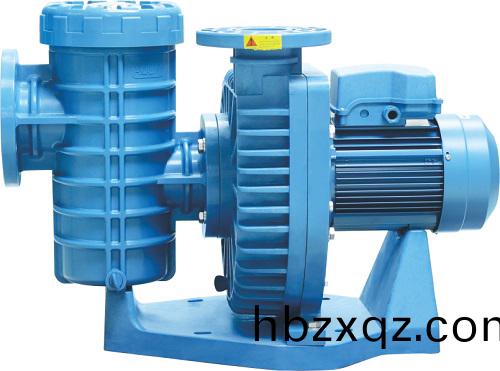 愛尅泳池循環水泵