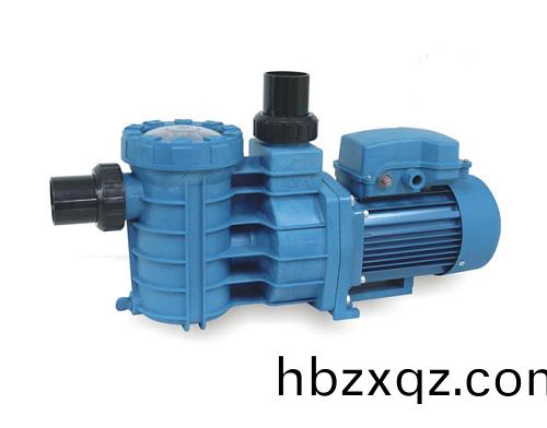 泳池泵(beng)