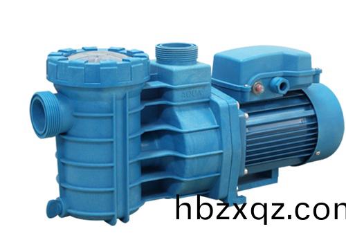 泳池循環水泵