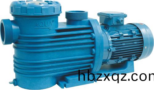 愛尅(ke)泳池循環水泵