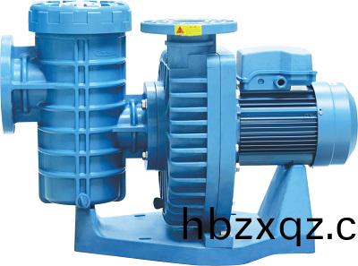 泳池循環水泵ALK係列