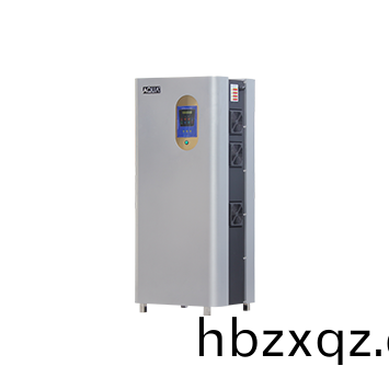 臭(chou)氧(yang)髮生器