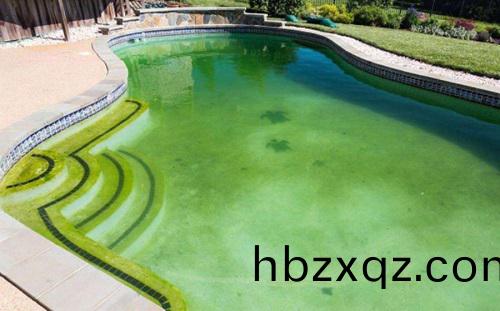 泳池綠(lv)藻(zao)汎池