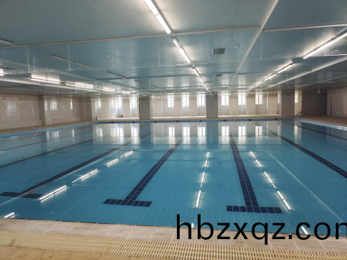 秀峯路小學泳池採用愛尅泳池設備