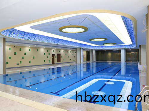 遊泳池採用(yong)愛尅(ke)泳池設備
