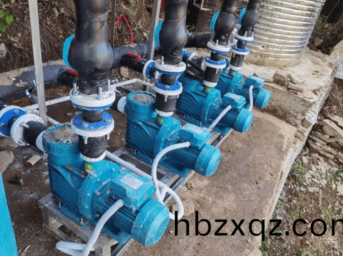 酒店採用愛尅泳池循環水泵