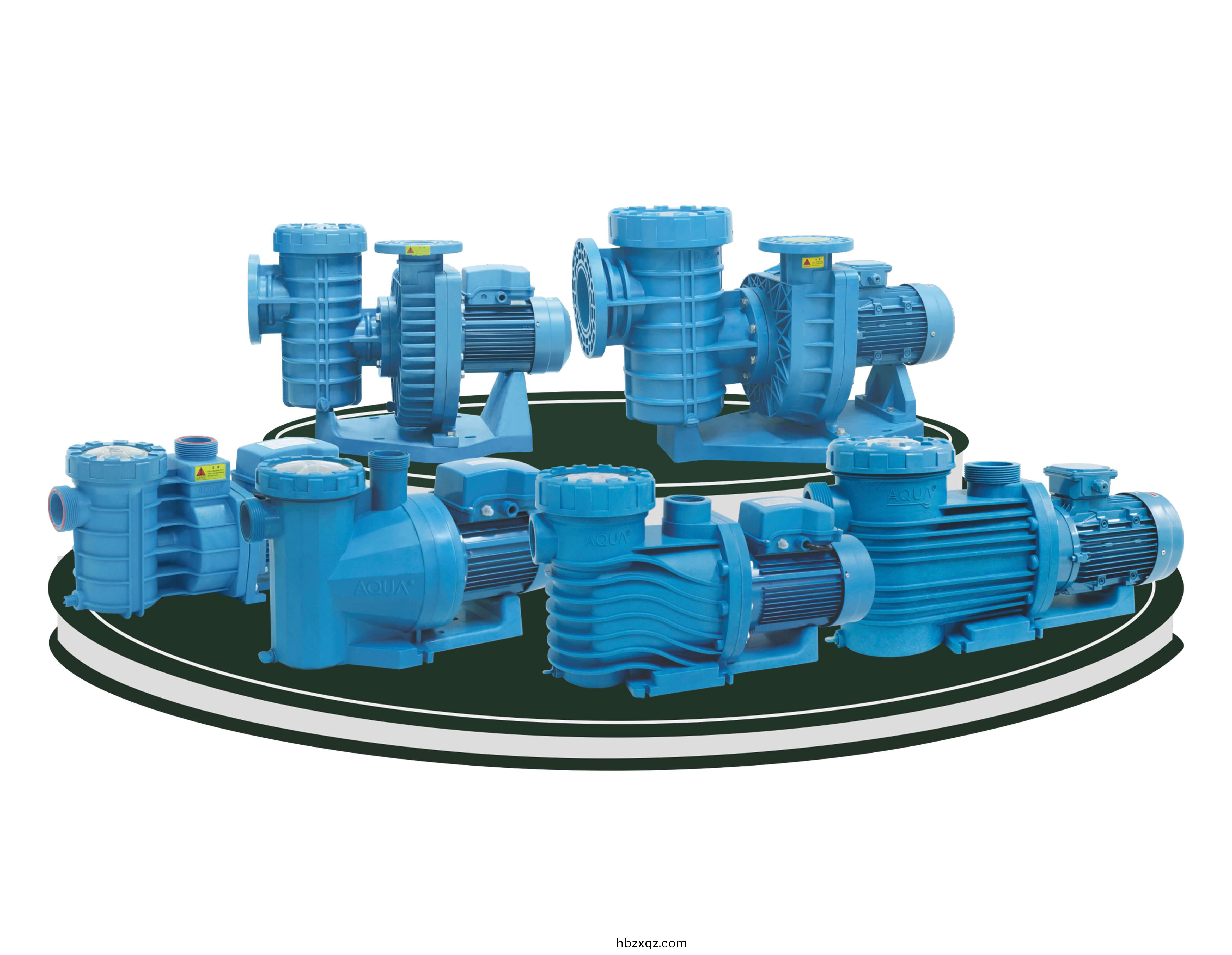 泳池循環水泵 泳池循環水(shui)泵