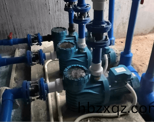 泳(yong)池循環水(shui)泵