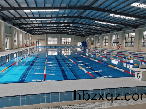 泳池消毒(du)設(she)備