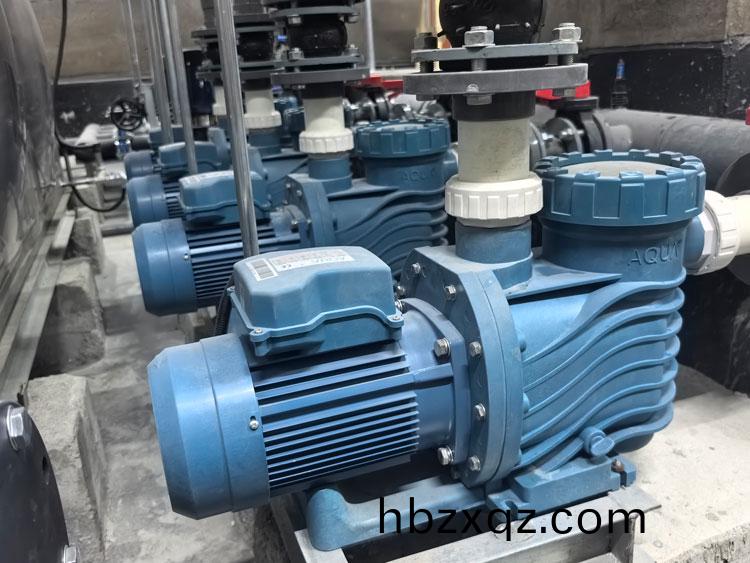 愛尅(ke)泳(yong)池水(shui)泵